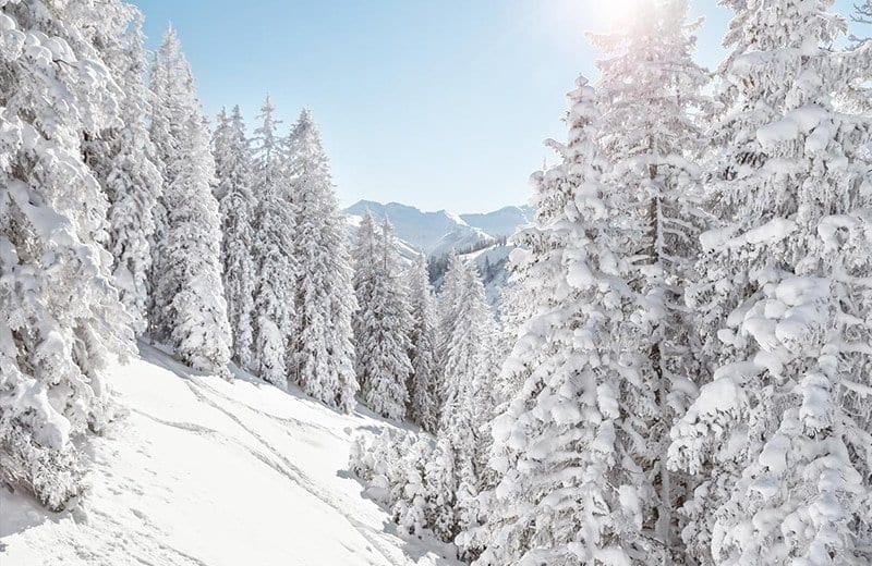 winter hiking